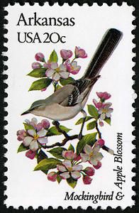 Welcome to the Arkansas Women Against the Registry