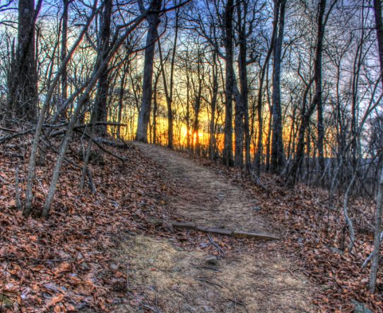 Arkansas Sex Offender Levels